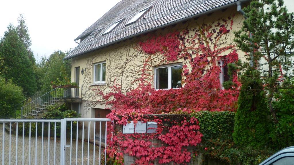 Bois Joli De La Freyere Bed and Breakfast Hindisheim Εξωτερικό φωτογραφία